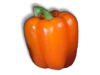 Captcha image 3301