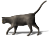 Captcha image 3333